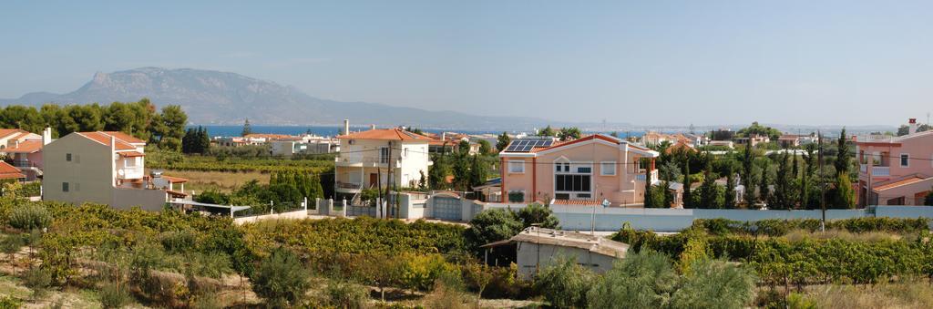 Kostas Family House Lejlighed Káto Ássos Eksteriør billede
